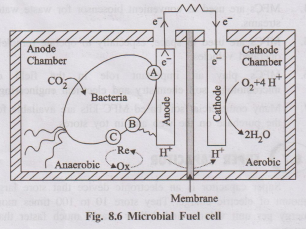 Diagram of microbial fuel cell showing anodic and cathodic compartments separated by membrane